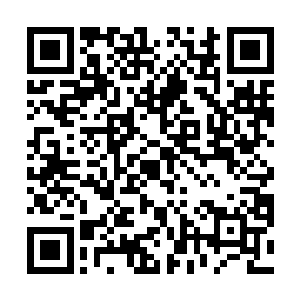 她突然想起刚才自己的神识笼罩那个突然出现的人时候二维码生成
