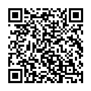 她突然意识到从道德角度上来说自己似乎也并不光彩二维码生成