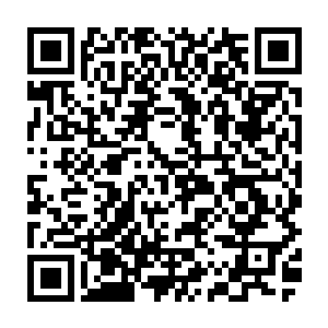 她突然觉得自己明白为何白兰就算是在意大利也不怎么说意大利语的原因了二维码生成