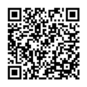 她立刻认出这两个僮儿应当是极珍贵的高级傀儡二维码生成