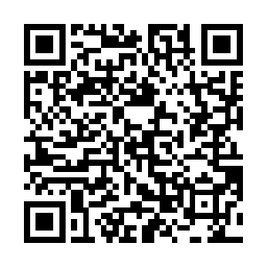 她竟觉得心里阴暗的角落竟然有一丝被阳光拂照的温暖二维码生成