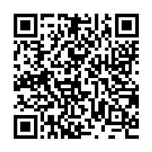 她笑容满面地将嚎了两声就决定再不开口的凌兰抱到蓝洛凤身边二维码生成