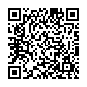 她笑言为了弥补我们一起怀孕的时光她算是豁出去了二维码生成