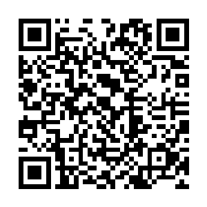 她第一时间就发现了屋子中央圆桌上早已冷却是饭菜二维码生成