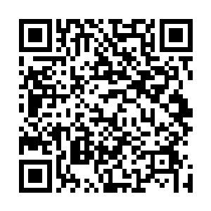 她第一次如此的期待那些原本很讨厌的大块头保镖赶紧过来二维码生成