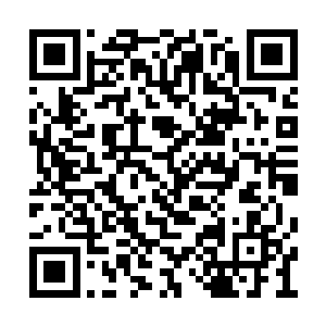她等不及系统发起的野外怪和城镇之间的战斗了二维码生成