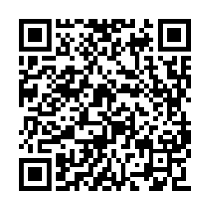 她纠缠了这只圣级大圆满后期巅峰混沌兽三十年二维码生成