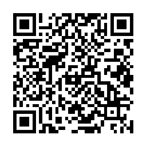 她终于体会到自己母亲当时对自己是怎样一种爱和期待二维码生成