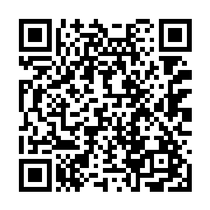 她终于将陨落红莲走完了最后一条脉线――阳跷脉二维码生成