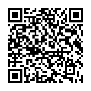 她给所有人的感觉就是她是很尊重丁二狗这个镇长的二维码生成