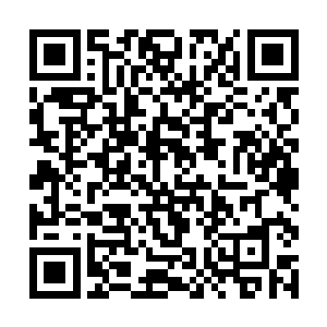 她绝对不会傻到将自己的底牌尽数显示在众人的面前二维码生成