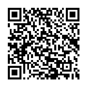 她绝对立刻化身逗比让这小子想怎么乐就怎么乐二维码生成