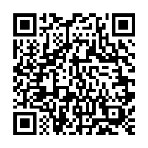 她能想象的到灰团子的战斗方法就是一屁股坐在敌人的脑袋上二维码生成