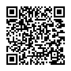 她能感受到灭世双蛇从虚灵界向自己注入的力量二维码生成