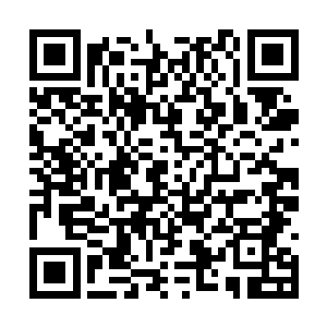 她能感觉得出刚才那一镰已经伤到了释无量的元神二维码生成