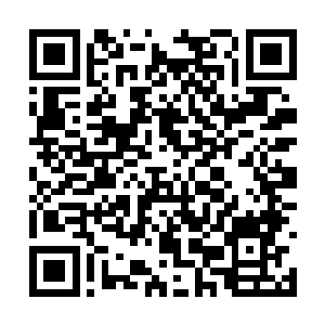 她能清楚感觉到从心底深处冒出来的熟悉的疼痛感二维码生成