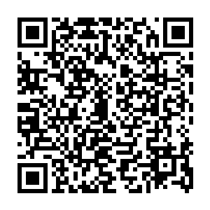 她脑子进水了都不会如此选择――虽然她现在年收入在女星里已经可以排上号了二维码生成