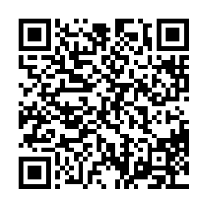 她脸上带着一抹只有十几岁的小女孩才有的纯真的趣味二维码生成