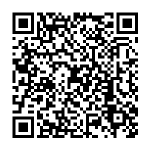 她自然不会让别人知道她给司马十七郎弄回来一个面相有缺陷的侧妃二维码生成