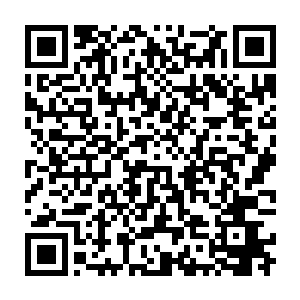 她自然不知道老剑神那个李青胆的别号是出自一位大家闺秀的赠诗二维码生成