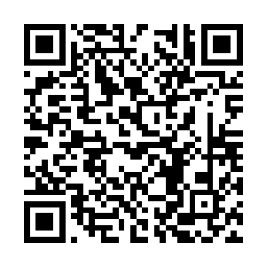 她自然也不会拿自己和肚子里的两个孩子去开玩笑二维码生成