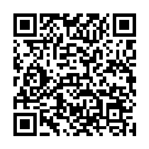 她自问所有凡人在见到她这副身体的时候都会尖叫恐惧二维码生成