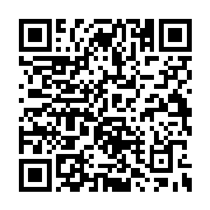 她虽不如荀嬷嬷在晏老太太身边伺候的时间长久二维码生成