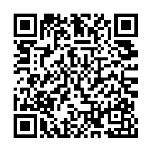 她虽并不指望主子有一天能坐到太后的位置上去二维码生成