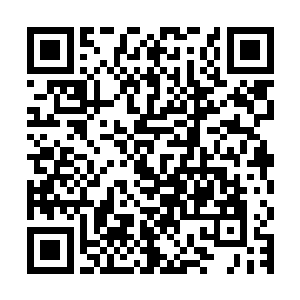 她虽然已经把娱乐城里的那些老得都扭不了屁股的女人给辞退了二维码生成