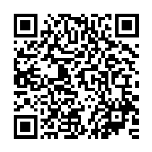 她被全世界最有影响力的一个媒体并选为当今世界上最有权力的二维码生成