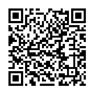 她被罗楼送回了天星学院后就一直在学院里面呆着二维码生成