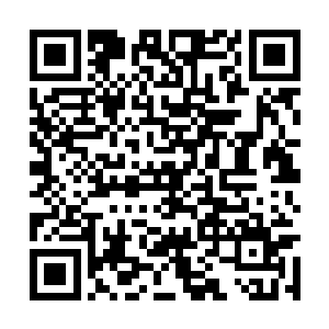 她要是非得作妖让你爸给磊子一步到位安排好地方二维码生成