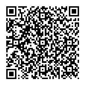 她要求出门处理一下工作被大头以怕她跑了的理由拒绝她提议去她办公室等待也被大头以保护现场的理由拒绝二维码生成