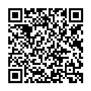 她见过最大的官也就是知县了……也不知道顾老爷是什么样子二维码生成