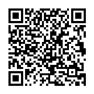 她视线扫过远处那栋新修建起来的充满了现代气息的房舍二维码生成