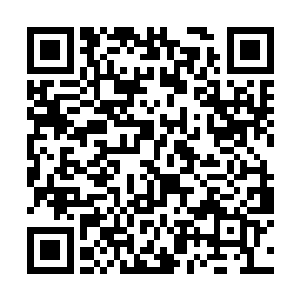 她觉得像她这种辛苦办案的人没必要看那些人的脸色二维码生成