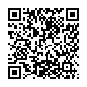 她觉得她之所以被爷爷奶奶爸爸赶出家门都是因为这个二维码生成