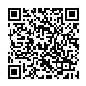 她觉得她第一样该做的就是要把那辈子的事儿看个明白二维码生成