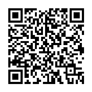 她觉得扬儿肯定是嫌弃她那还不知道什么时候出生的女儿了二维码生成