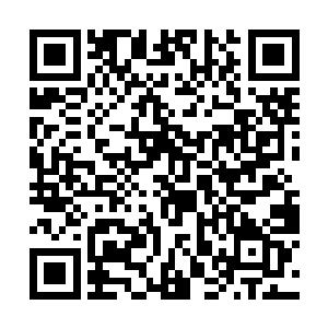 她觉得此刻的自己在他们眼里一定很狼狈很可笑的吧二维码生成