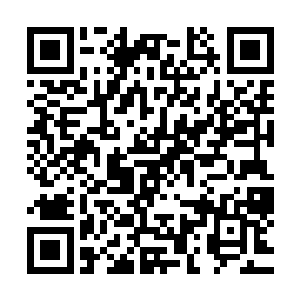 她觉得自己现在应该为这个剧情世界是否可以健康发展考虑了二维码生成