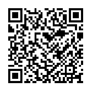 她觉得自己终于堪破了这个剧情世界的一丝玄机二维码生成