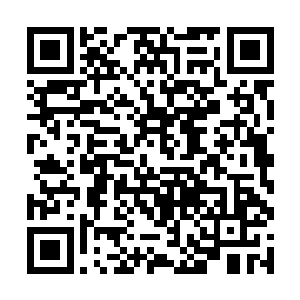 她觉得这前三十二年都像是活在一场懵懵懂懂的梦中二维码生成