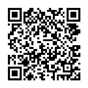 她觉得这群姐妹肯定以为他们三人再搞什么摄像头二维码生成