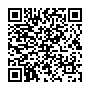 她认为众人此时应该已经脱离了对方的追杀才对啊二维码生成