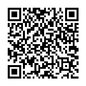 她认为徐虹并没有刻意的对法庭隐瞒事实或者歪曲她的观念二维码生成