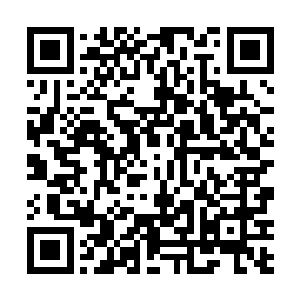 她认识昨晚死在地铁站的第一个受害者……这并不奇怪二维码生成
