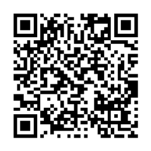 她记得上次雷冽来找她的时候就是开着一辆黑色的布加迪跑车二维码生成