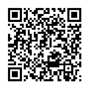 她试图将自己脑海里的那些天才拿出来和夏天对比二维码生成