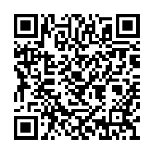 她说很有爱而且翻史书的话两个人真是相爱相杀二维码生成